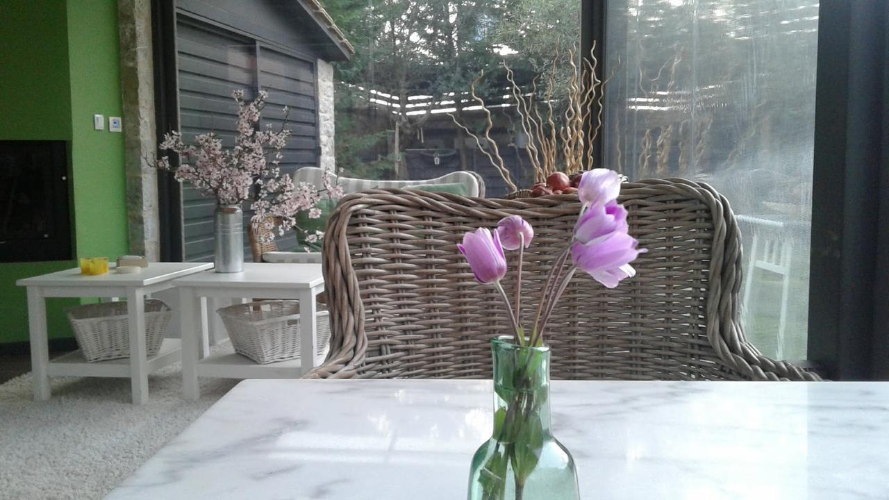 Elaion Guesthouse Еллінікон Екстер'єр фото